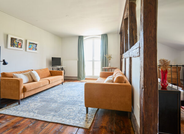 Das Wohnzimmer im Apartment Marie mit Kamin, gemütlichen Sofas und Zugang zur Terrasse Gut Pohnstorf/Andrea Girard